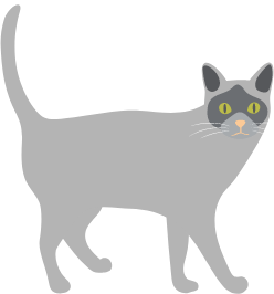 猫