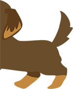 犬