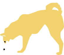 犬